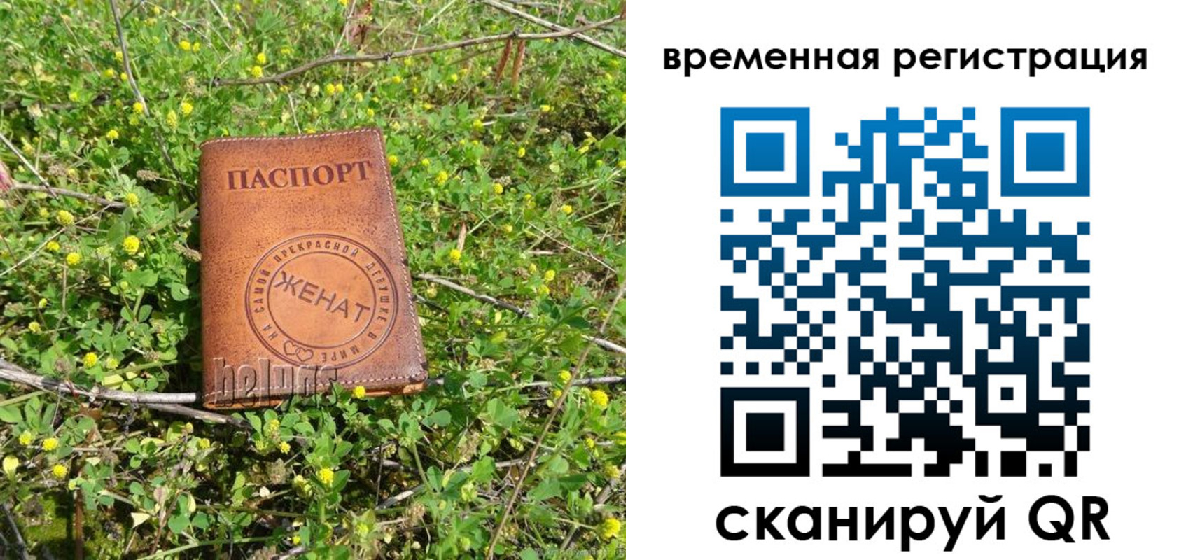 прописка регистрация в Аксае